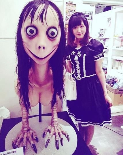 momo2.jpg_1900658960.jpg