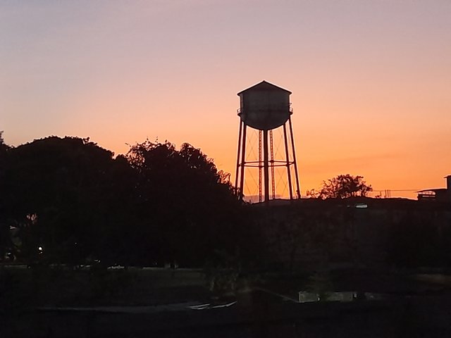 20250313_190800.jpg