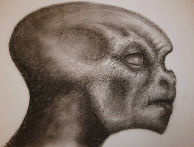 20250731_105241.jpg