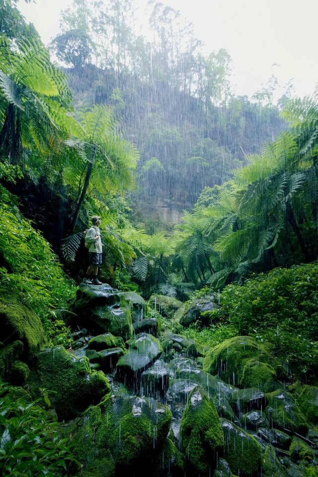 我宣布❗️四川人有自己的亚马逊热带雨林🌿_7.jpg