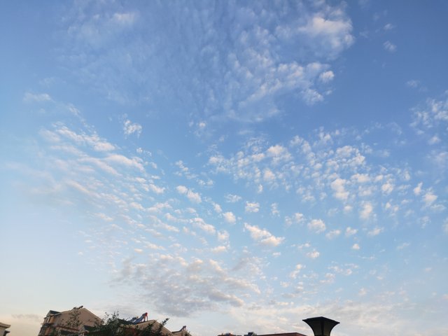 IMG20250927055918.jp