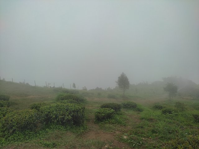 IMG_20250610_101056.jpg