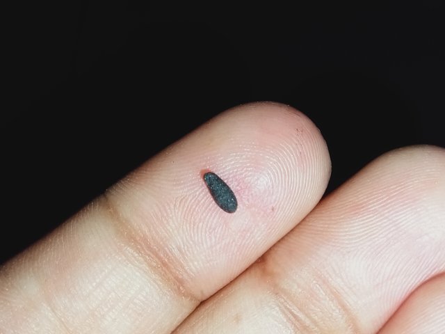 IMG20240511191350.jpg