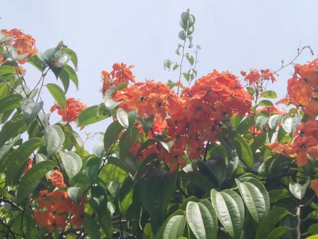 IMG_20250601_122419.jpg