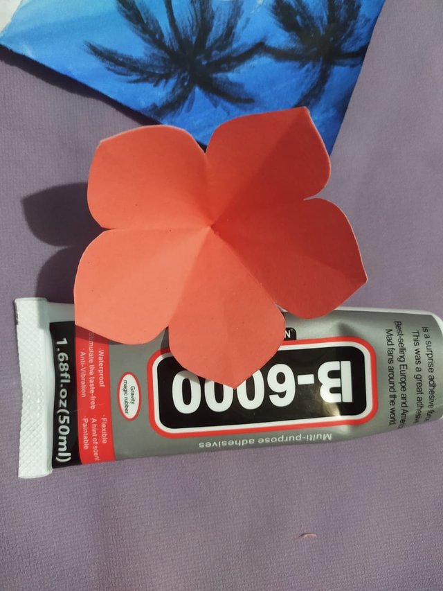 1000015168.jpg