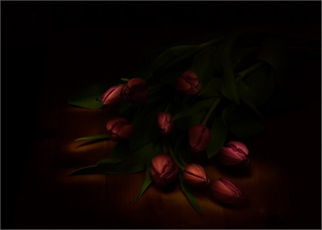 a1-van der Walt Johann-Painted Tulips.jpg