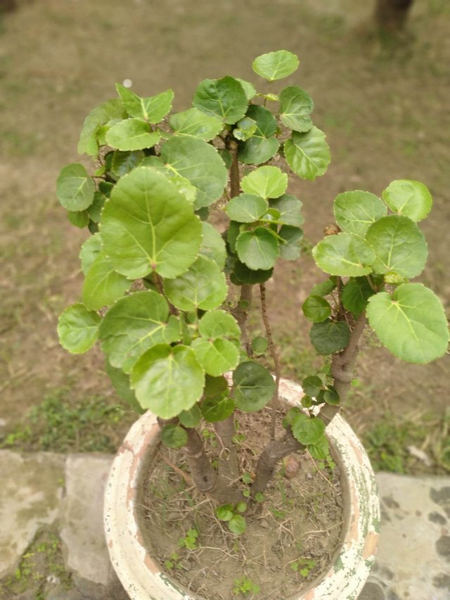 received_6378210155564804.jpeg