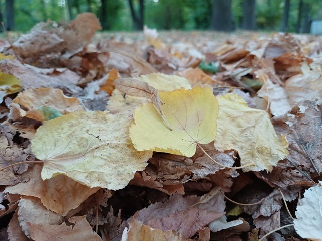 20250926_183217.jpg