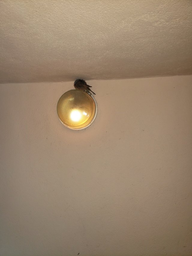 20250324_003511.jpg