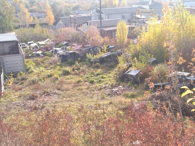 IMG_20211017_151107.jpg