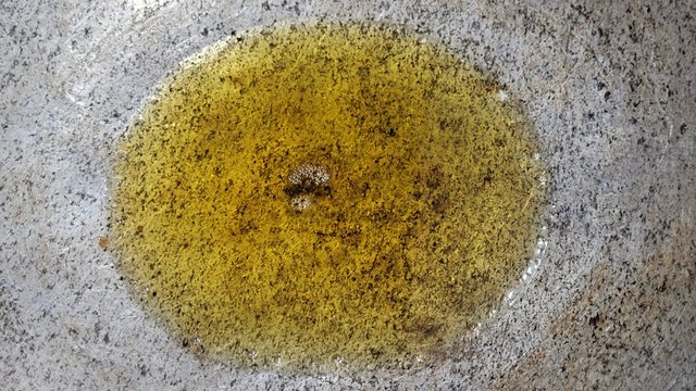 20250613_191002.jpg