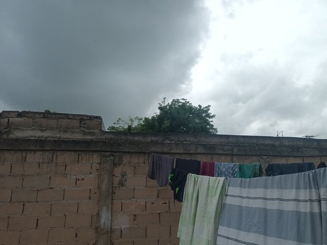 20250702_092249.jpg