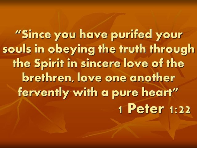 The meaning of love and communion, love one another fervently with a pure heart. 1 Peter 1,22.jpg