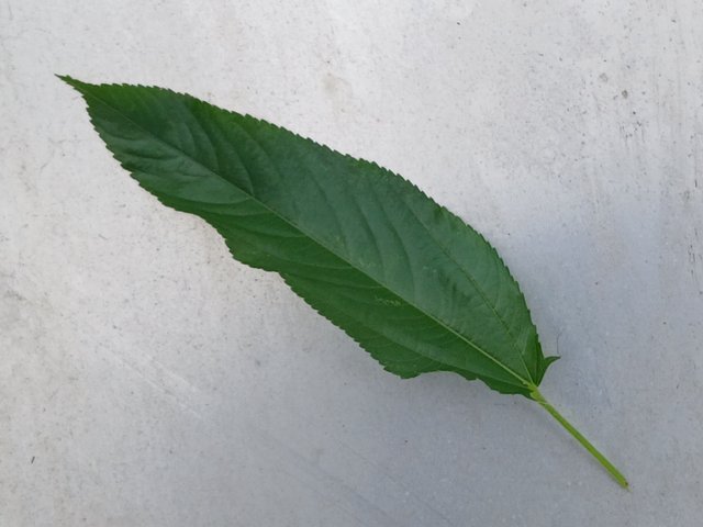 1000097657.jpg