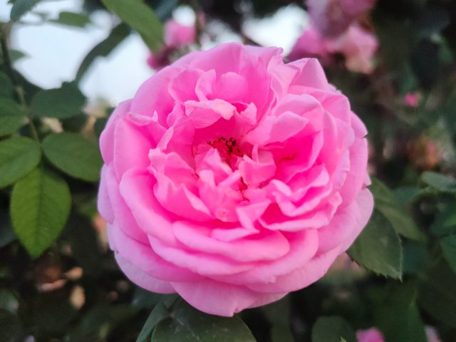 IMG20240409183454.jpg