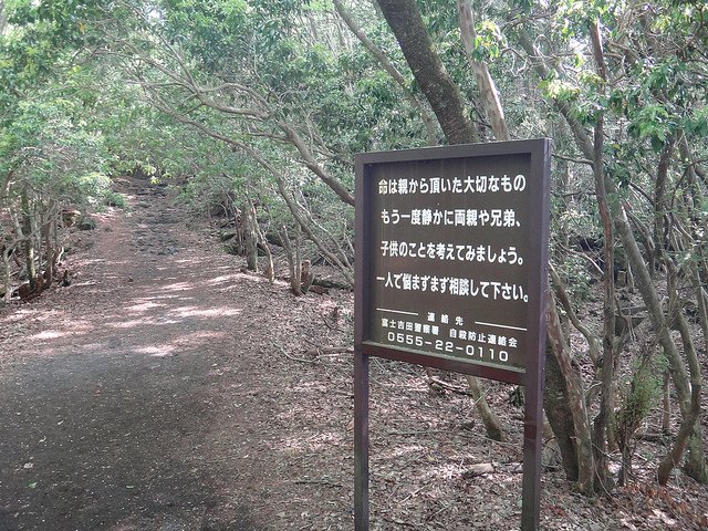 AOKIGAHARA - MAR DE ARBOLES — Steemit