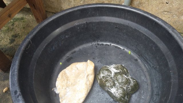 IMG20250621134055.jpg