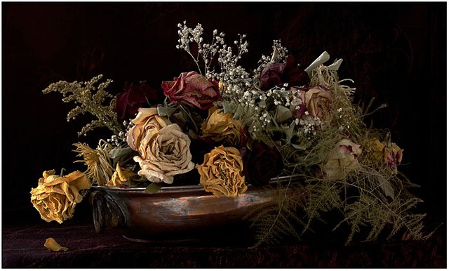 dead_flowers_in_hdr_by_thom_b_foto.jpg