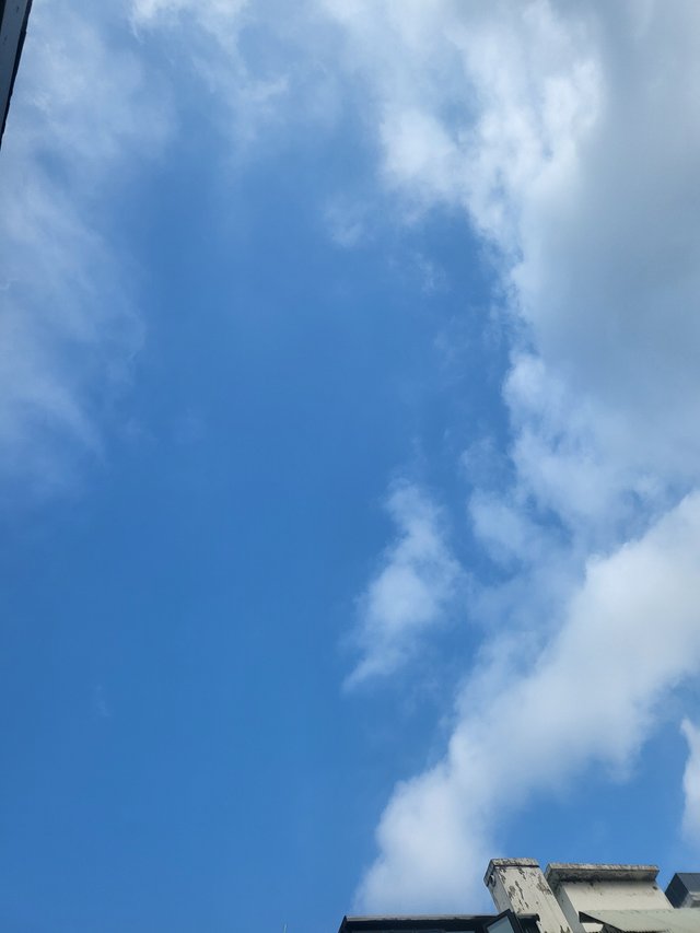 1000020425.jpg