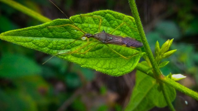 IMG_20240830_091449_459.jpg