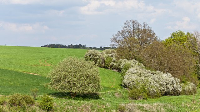 8725200477-birkungen-dam-eichsfeld (FILEminimizer).jpg