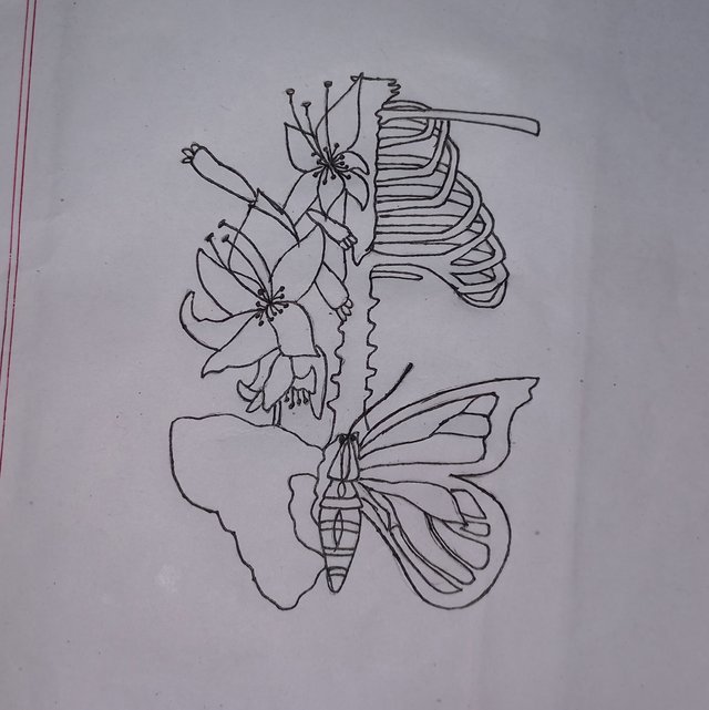 20251005_103502.jpg