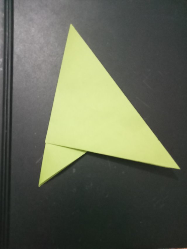 1000029170.jpg