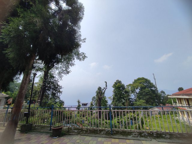 IMG_20250610_135442.jpg