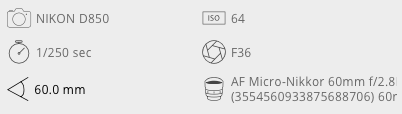 TreeSpec.png
