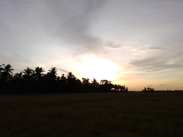1000150321.jpg