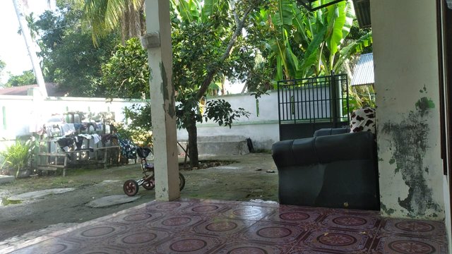IMG-20240816