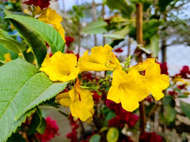 IMG_20250201_101821.jpg