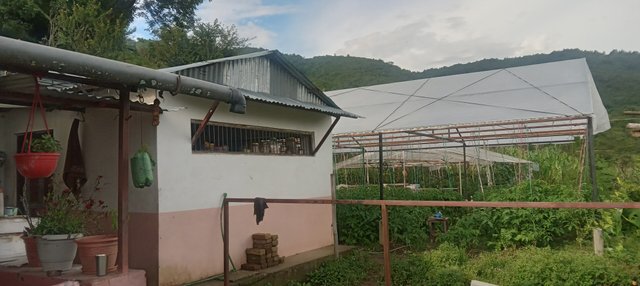 20250714_164732.jpg
