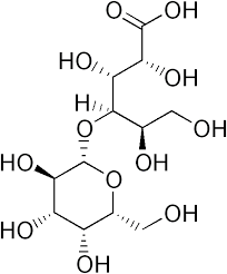 Lactobionic Acid.png