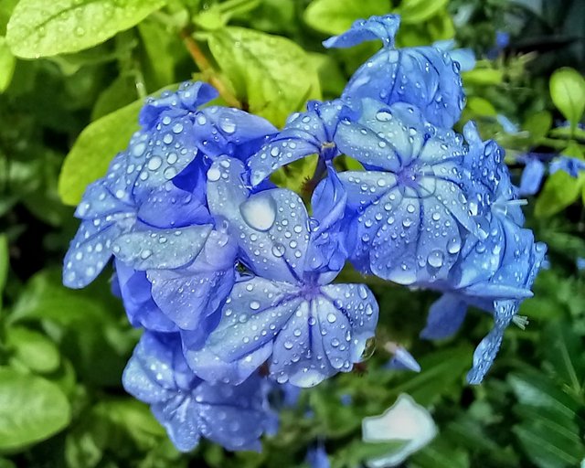Picsart_25-07-10_16-14-58-203.jpg