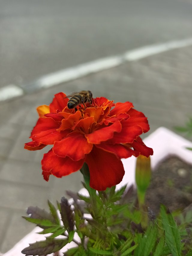 IMG_20250614_115916.jpg
