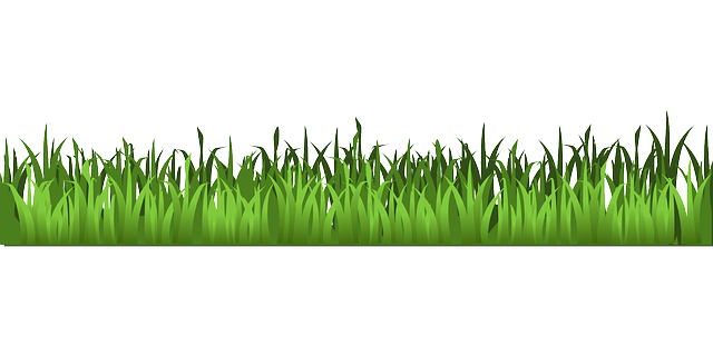 grass-159804_640.png