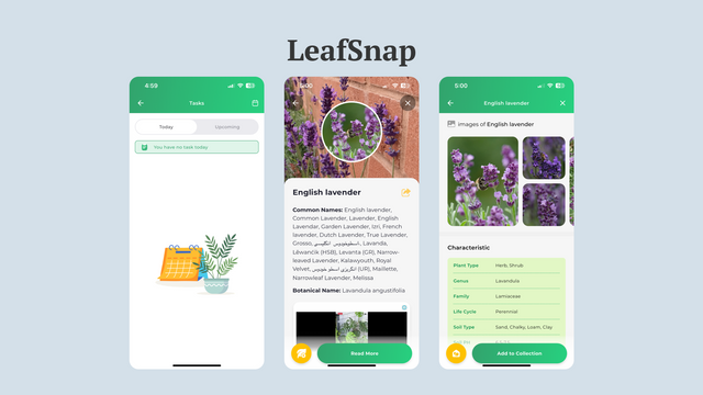 LeafSnap.png