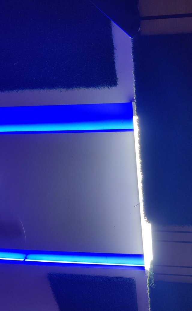 1000055082.jpg