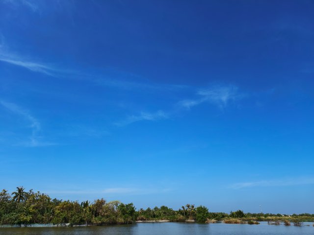 IMG_20250314_093221.jpg