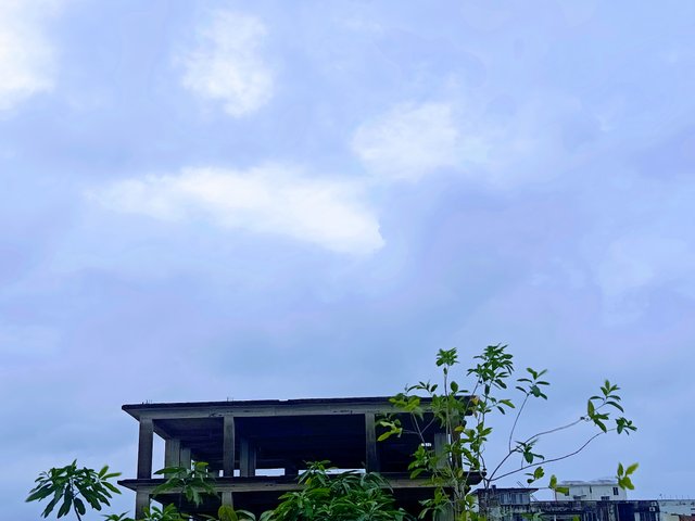 1000031420.jpg