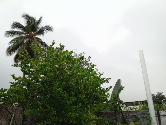 IMG_20250407_062239_332.jpg