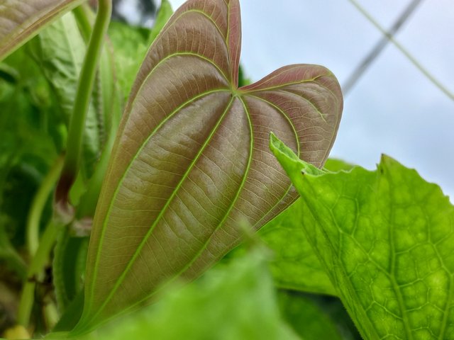 20230823_115535.jpg