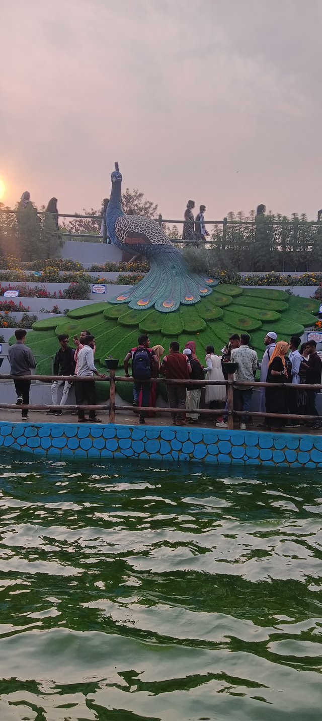 IMG20250226165548.jpg