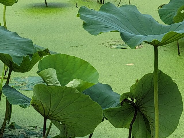 20210708_150809.jpg