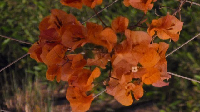 20250330_212427.jpg