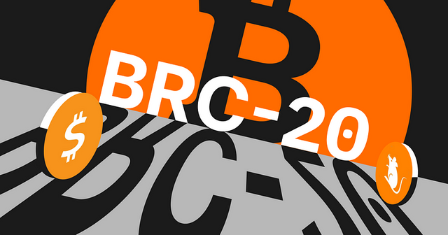 BRC 20 Wallet.png