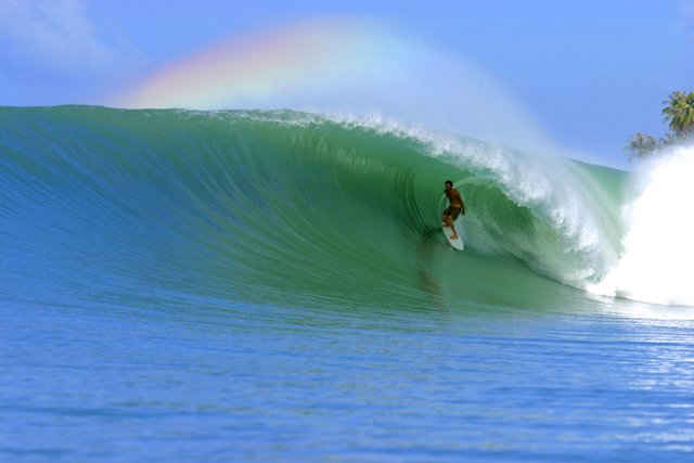 surfing-nias.jpg