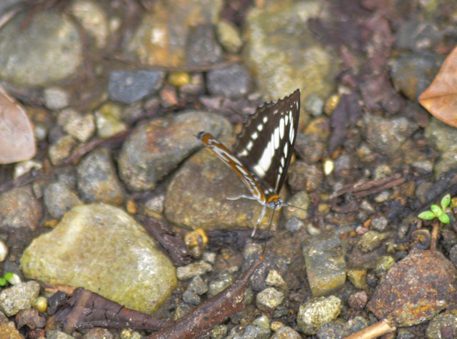 _AHW3845.jpg
