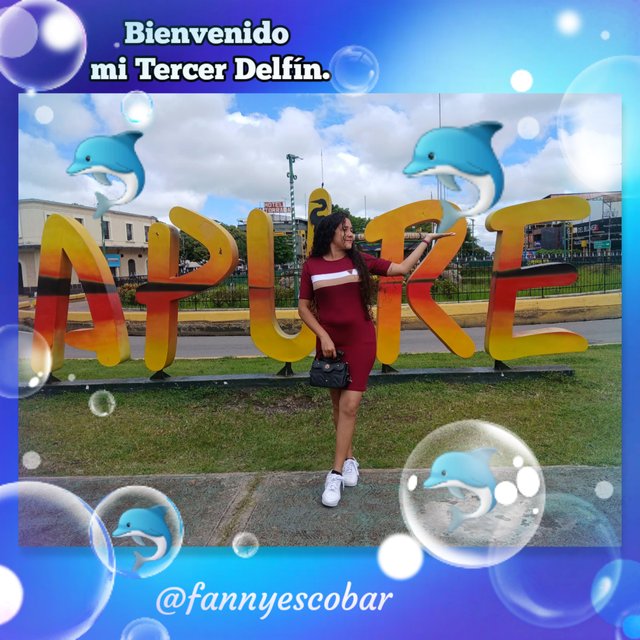 photocollage_2025818103339838.jpg
